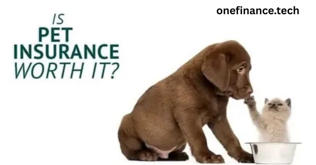 2026 pet insurance expenses: A entire manual