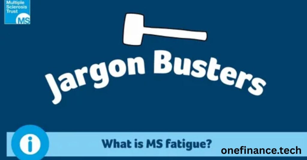 vehicle coverage Jargon, Decoded