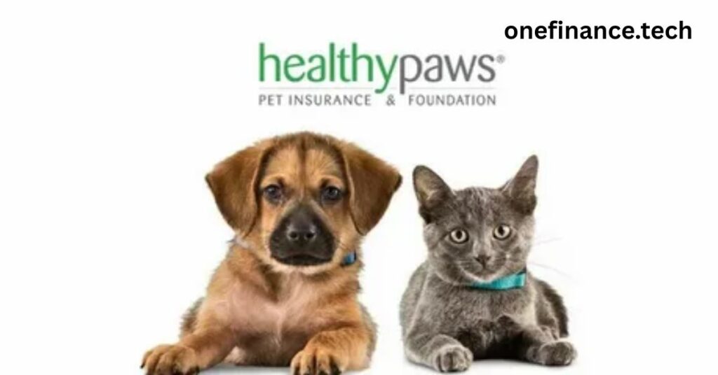 wholesome Paws vs. Fetch: which is the satisfactory for your pet in 2024?